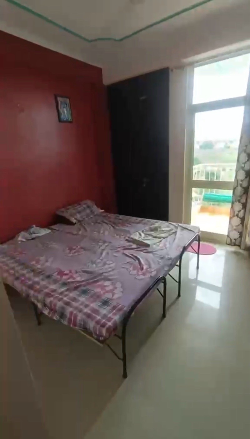 Q304, carnation, tera city-1